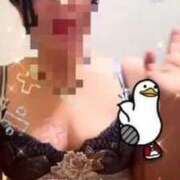 ヒメ日記 2026/02/27 07:52 投稿 真玖(しんく) PLUS梅田店