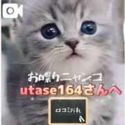 真玖(しんく) 【お礼写メ日記】utase164様 PLUS梅田店