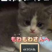 ヒメ日記 2026/03/02 00:12 投稿 真玖(しんく) PLUS梅田店