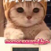 ヒメ日記 2026/03/21 09:02 投稿 真玖(しんく) PLUS梅田店