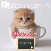 ヒメ日記 2026/03/31 09:42 投稿 真玖(しんく) PLUS梅田店