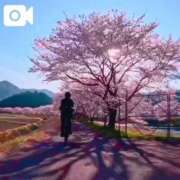 ヒメ日記 2026/04/03 23:02 投稿 真玖(しんく) PLUS梅田店