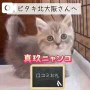 ヒメ日記 2026/04/11 02:52 投稿 真玖(しんく) PLUS梅田店