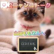 ヒメ日記 2026/05/31 07:32 投稿 真玖(しんく) PLUS梅田店