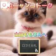 ヒメ日記 2026/06/02 23:32 投稿 真玖(しんく) PLUS梅田店