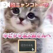ヒメ日記 2026/06/22 04:02 投稿 真玖(しんく) PLUS梅田店