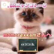 ヒメ日記 2026/08/09 08:04 投稿 真玖(しんく) PLUS梅田店