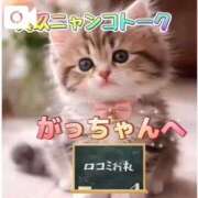 ヒメ日記 2026/08/16 13:12 投稿 真玖(しんく) PLUS梅田店