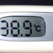 ヒメ日記 2025/11/05 11:29 投稿 ひかる カリビアン