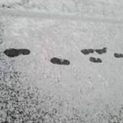 ヒメ日記 2026/02/08 12:30 投稿 ひかる カリビアン