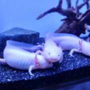 ヒメ日記 2026/02/28 11:49 投稿 ひかる カリビアン