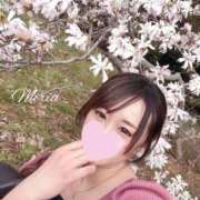 ヒメ日記 2025/05/11 14:33 投稿 桜 美梨愛 ELEGANCE
