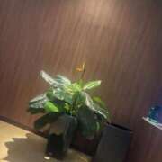 ちさと お礼? タレント倶楽部