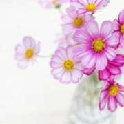 ヒメ日記 2025/06/01 11:48 投稿 やえ 待ちナビ