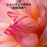 ヒメ日記 2026/03/17 17:09 投稿 知花 さち HANA-okinawa-