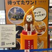 いお こんにちは 熟女の風俗最終章 宇都宮店