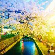 ヒメ日記 2025/05/05 08:25 投稿 ほなみ One More 奥様 鶯谷店