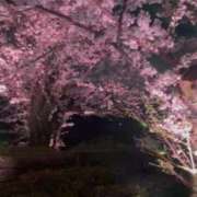 ヒメ日記 2025/05/06 18:25 投稿 ほなみ One More 奥様 鶯谷店