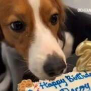 ヒメ日記 2025/05/18 13:15 投稿 ほなみ One More 奥様 鶯谷店