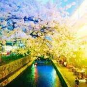 ヒメ日記 2025/05/19 08:46 投稿 ほなみ One More 奥様 鶯谷店