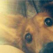 ヒメ日記 2025/06/14 17:25 投稿 ほなみ One More 奥様 鶯谷店