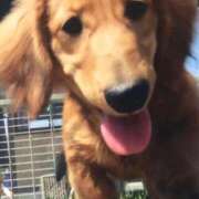 ヒメ日記 2025/06/21 12:45 投稿 ほなみ One More 奥様 鶯谷店