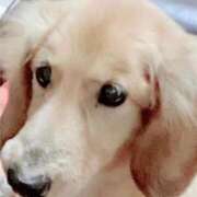 ヒメ日記 2025/06/28 12:55 投稿 ほなみ One More 奥様 鶯谷店