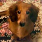 ヒメ日記 2025/07/03 08:05 投稿 ほなみ One More 奥様 鶯谷店