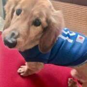 ヒメ日記 2025/07/04 08:45 投稿 ほなみ One More 奥様 鶯谷店