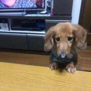 ヒメ日記 2025/08/03 13:25 投稿 ほなみ One More 奥様 鶯谷店