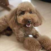 ヒメ日記 2025/08/12 11:55 投稿 ほなみ One More 奥様 鶯谷店