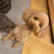 ヒメ日記 2025/08/24 19:05 投稿 ほなみ One More 奥様 鶯谷店