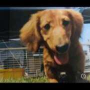 ヒメ日記 2025/09/19 18:15 投稿 ほなみ One More 奥様 鶯谷店