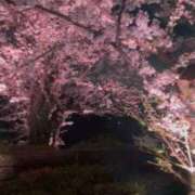 ヒメ日記 2025/10/12 19:18 投稿 ほなみ One More 奥様 鶯谷店