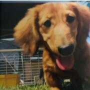 ヒメ日記 2025/11/03 02:15 投稿 ほなみ One More 奥様 鶯谷店