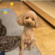 ヒメ日記 2025/11/11 19:50 投稿 ほなみ One More 奥様 鶯谷店