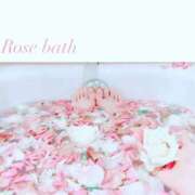 ヒメ日記 2025/11/18 11:10 投稿 ほなみ One More 奥様 鶯谷店