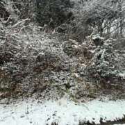 ヒメ日記 2026/02/09 13:44 投稿 【相田 かいり】 梅田ムチSpa女学院