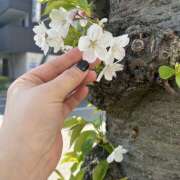 ヒメ日記 2025/04/12 11:36 投稿 あかね 明石の熟女達・女華