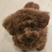 ヒメ日記 2026/02/01 22:50 投稿 みやび 性腺熟女100％本店（デリヘル市場）