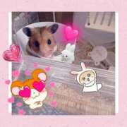 ヒメ日記 2025/06/07 21:11 投稿 詩雪まい 奴隷志願！変態調教飼育クラブ本店