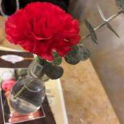 けい [お題]from:ホワイトニングしたいさん リニューアル