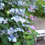 ヒメ日記 2025/05/23 07:34 投稿 小春 出会い系人妻ネットワーク錦糸町～小岩編