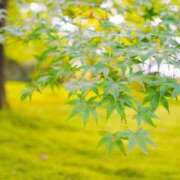 ヒメ日記 2025/06/19 09:40 投稿 小春 出会い系人妻ネットワーク錦糸町～小岩編