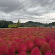 小春 久々の更新&…🍁🍁 出会い系人妻ネットワーク錦糸町～小岩編