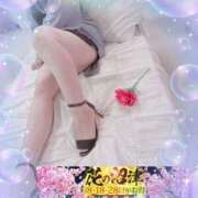 ヒメ日記 2025/04/18 15:15 投稿 きほ 沼津人妻花壇