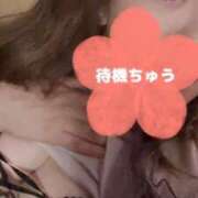 ヒメ日記 2025/04/17 11:02 投稿 レイ ドMな奥さん 日本橋店