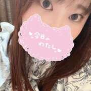 ヒメ日記 2025/04/29 17:07 投稿 えり ふわふわコレクション川越店