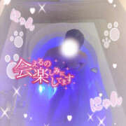 ヒメ日記 2025/04/20 22:33 投稿 らん/爆乳Gカップ！3P可！ ハレンチ倶楽部　神戸店