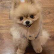 ヒメ日記 2025/09/07 00:55 投稿 みやび 性腺熟女100％鶯谷（デリヘル市場）